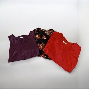 Fantastic  3️⃣ piece bundle, one sleeveless top and two 3/4 sleeve blouses.